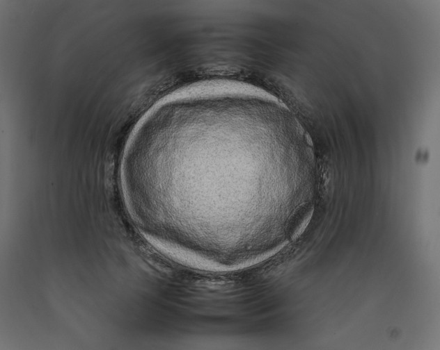 X0000092280745200710121403