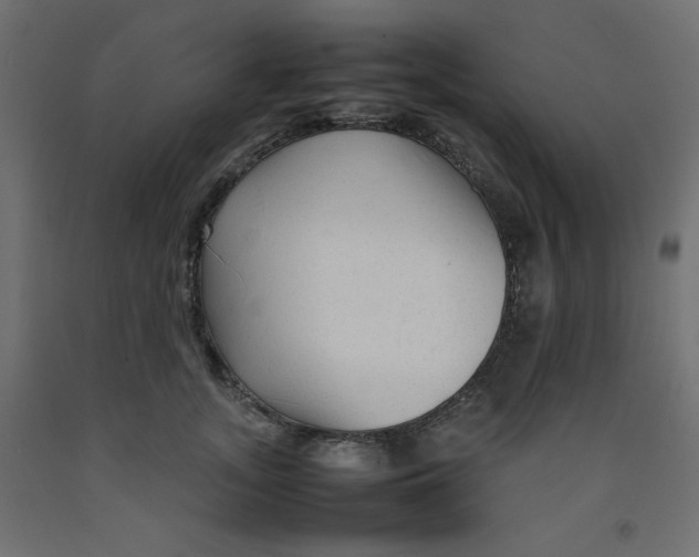 X0000092280755200710121403