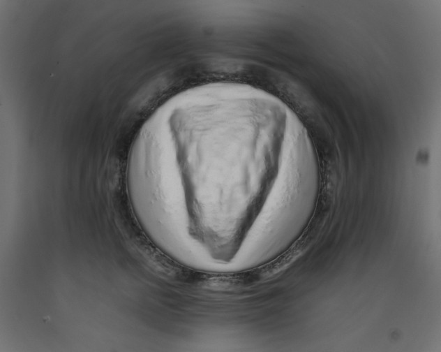 X0000092280758200710121403
