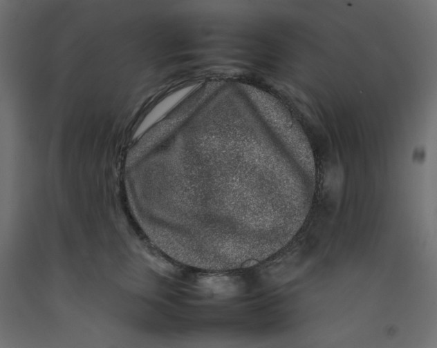 X0000092280759200710121403