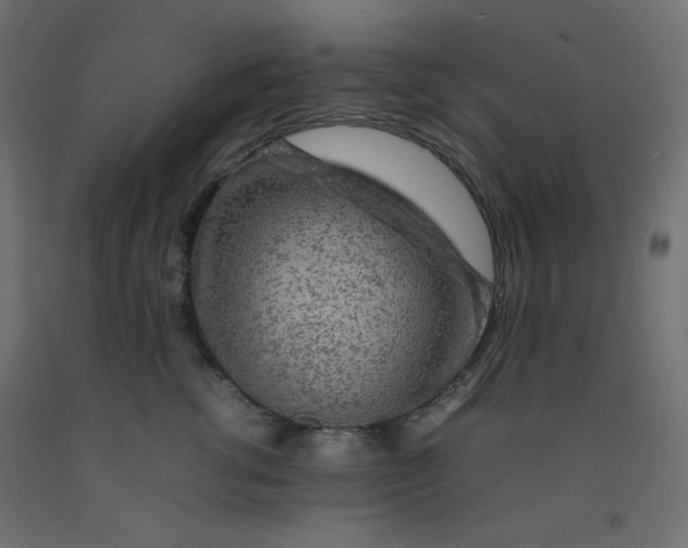 X0000092280762200710121403
