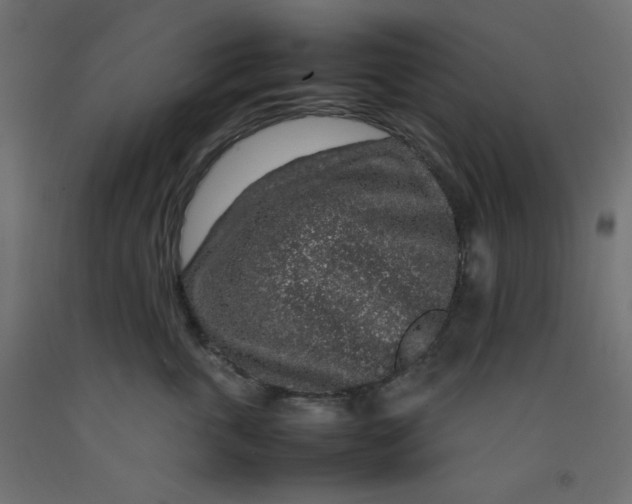 X0000092280763200710121403