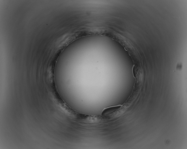 X0000092280764200710121403