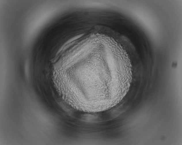 X0000092280765200710121403