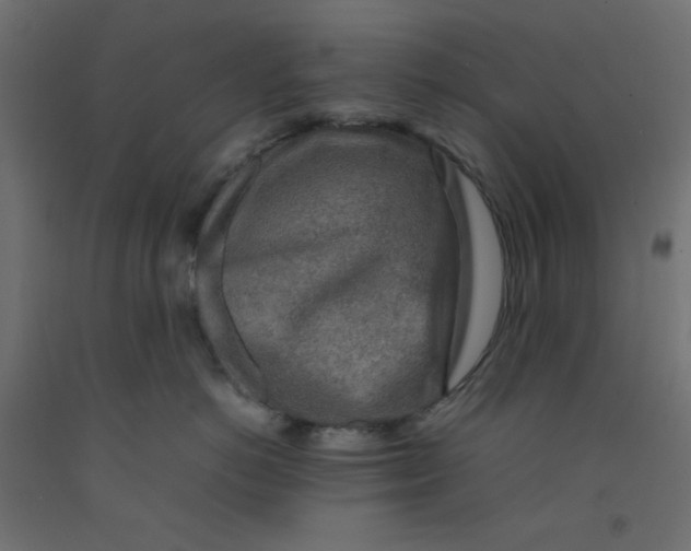 X0000092280766200710121403