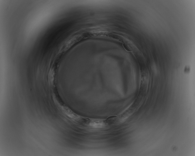 X0000092280767200710121403