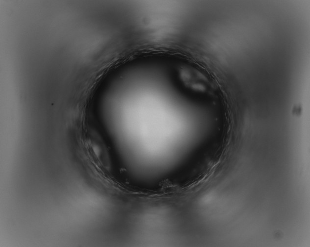 X0000092280769200710121403