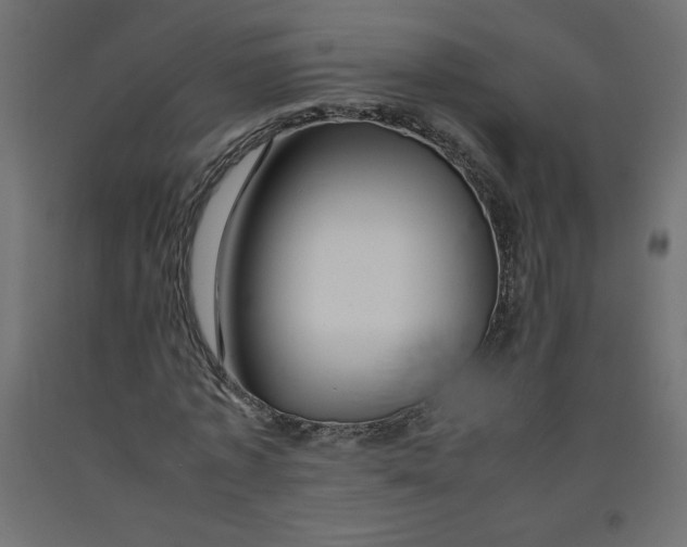 X0000092280773200710121403