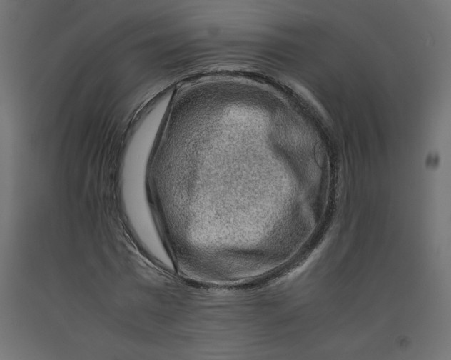 X0000092280777200710121403