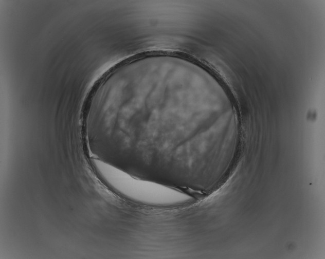 X0000092280779200710121403