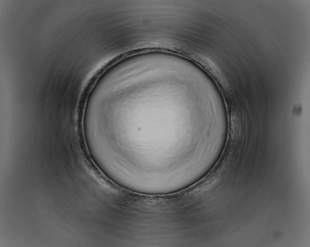 X0000092280780200710121403