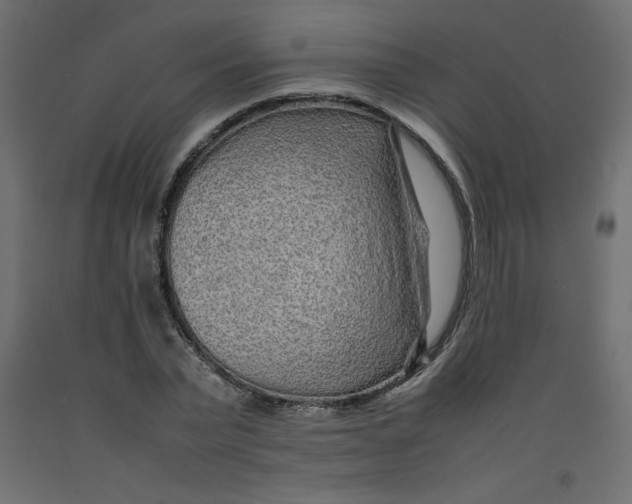 X0000092280783200710121403