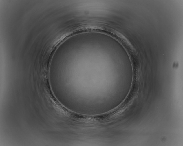 X0000092280785200710121403