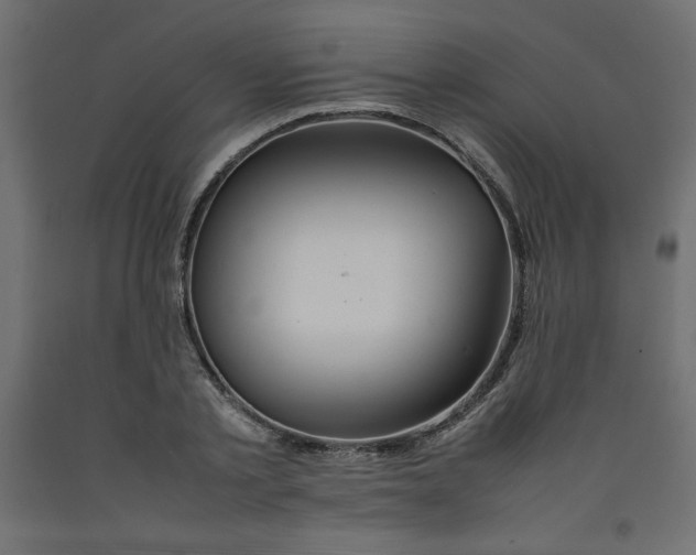 X0000092280789200710121403
