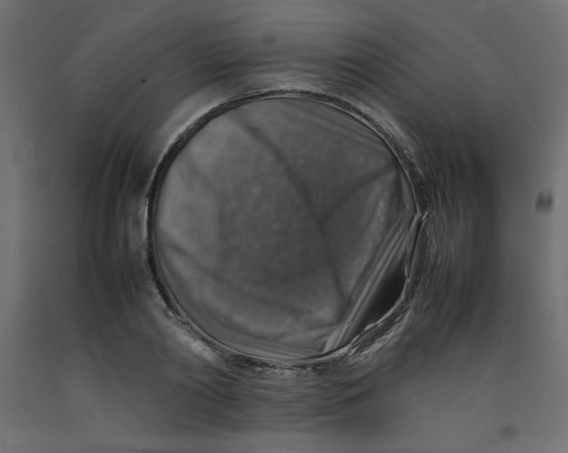 X0000092280790200710121403
