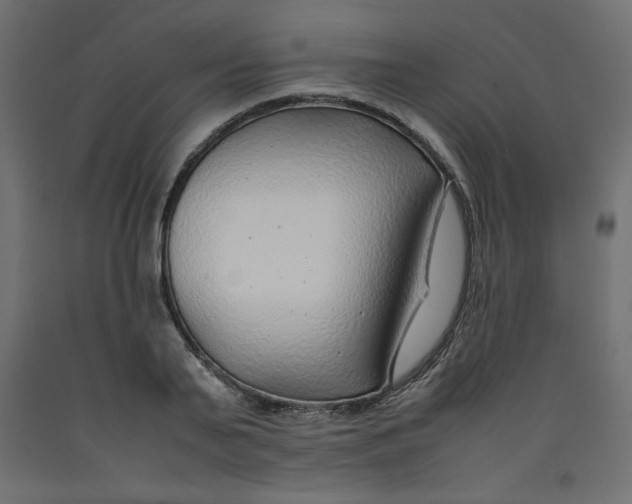 X0000092280791200710121403