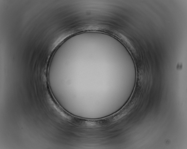 X0000092280794200710121403