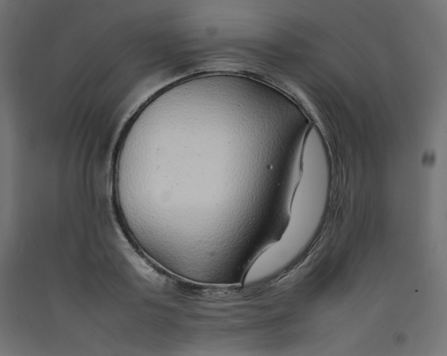 X0000092280795200710121403