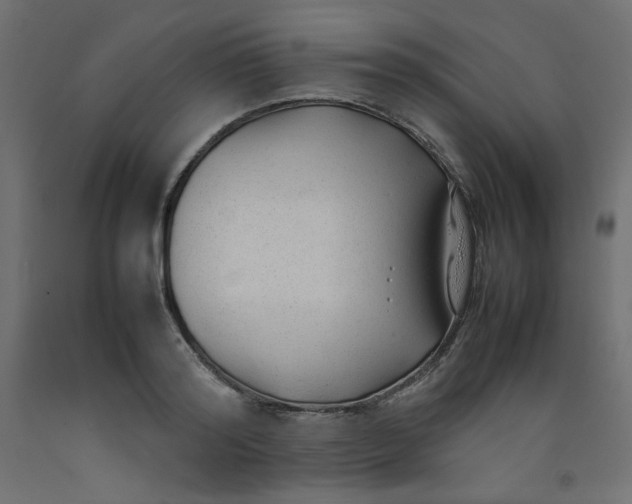 X0000092280796200710121402