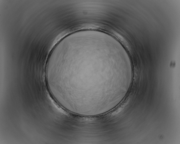 X0000092280802200710121402