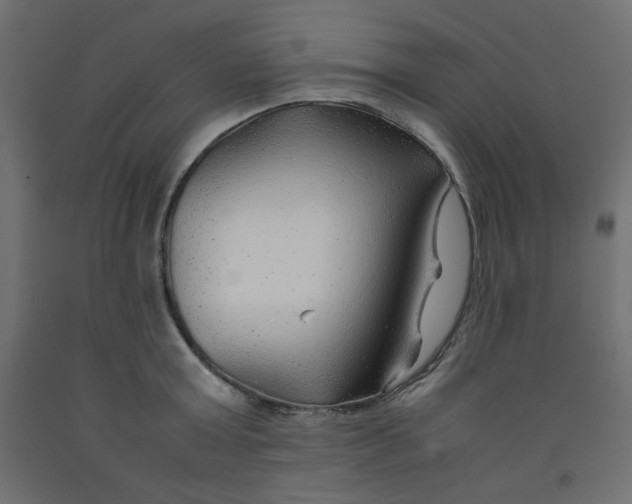 X0000092280803200710121402