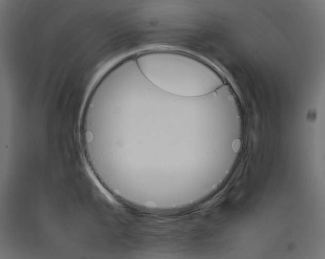 X0000092280807200710121402