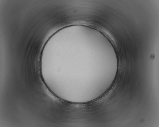 X0000092280808200710121402
