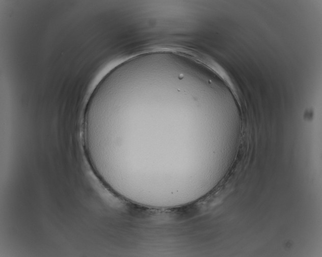 X0000092280811200710121402