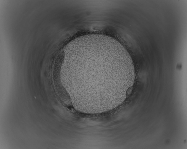 X0000092280817200710121402