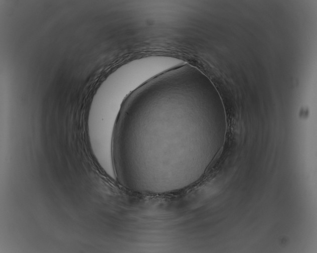 X0000092280818200710121402