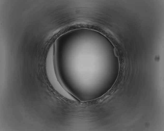 X0000092280822200710121402