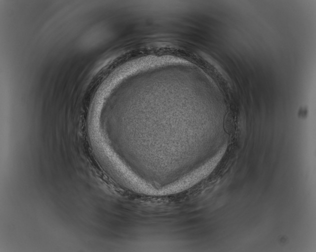 X0000092280823200710121402