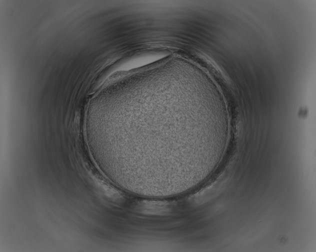 X0000092280825200710121402