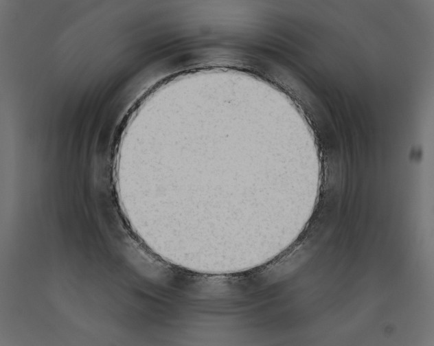 X0000092280828200710121402