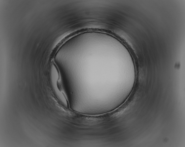 X0000092280829200710121402