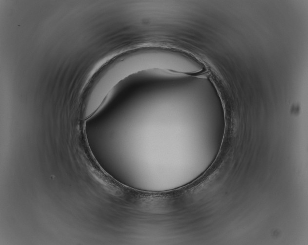 X0000092280830200710121402