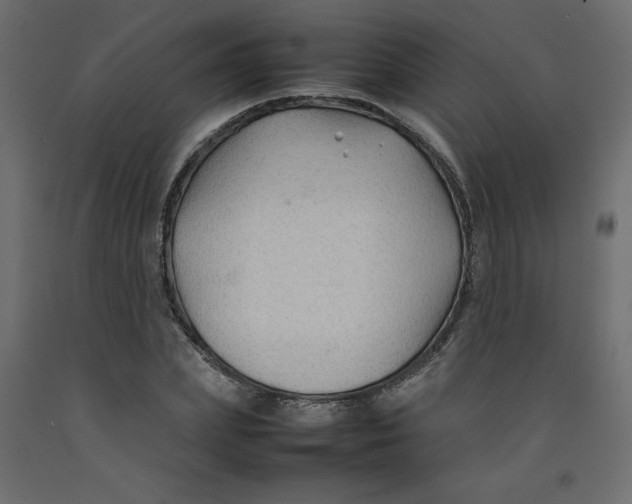 X0000092280831200710121402