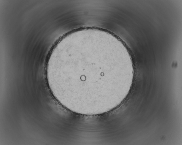 X0000092280832200710121402