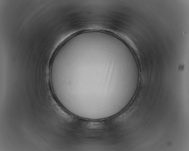 X0000092280839200710121402
