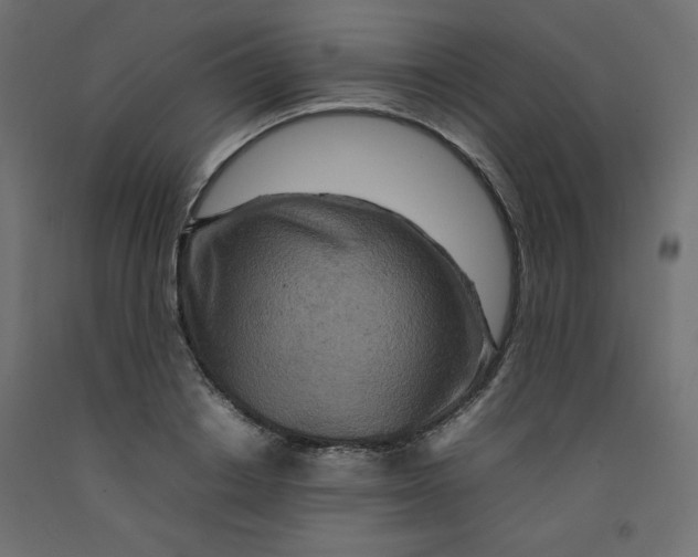 X0000092280842200710121402