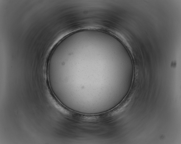 X0000092280843200710121402