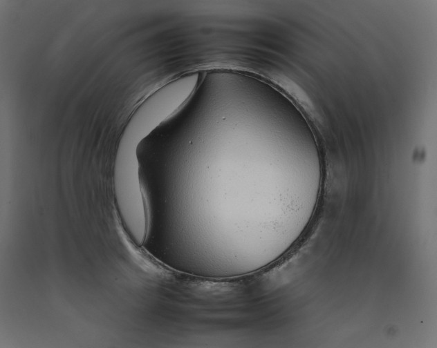 X0000092280849200710121402