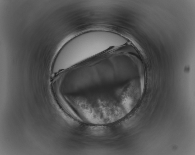 X0000092280853200710121402