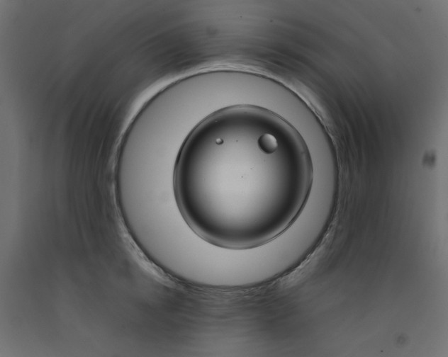 X0000092280854200710121402