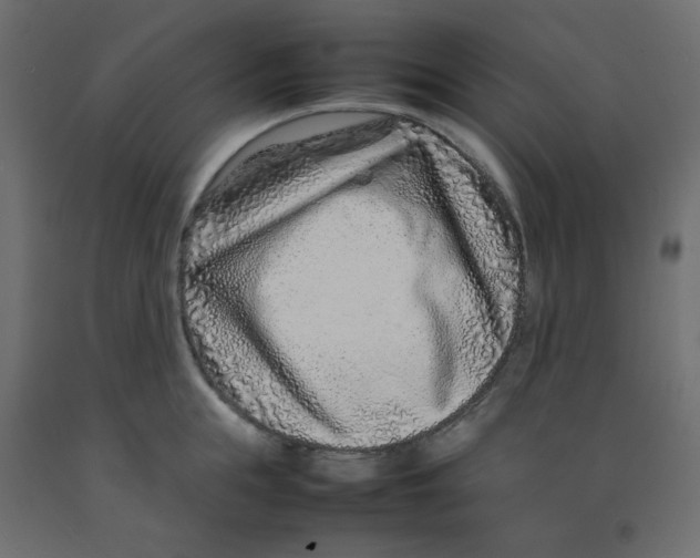 X0000092280855200710121402