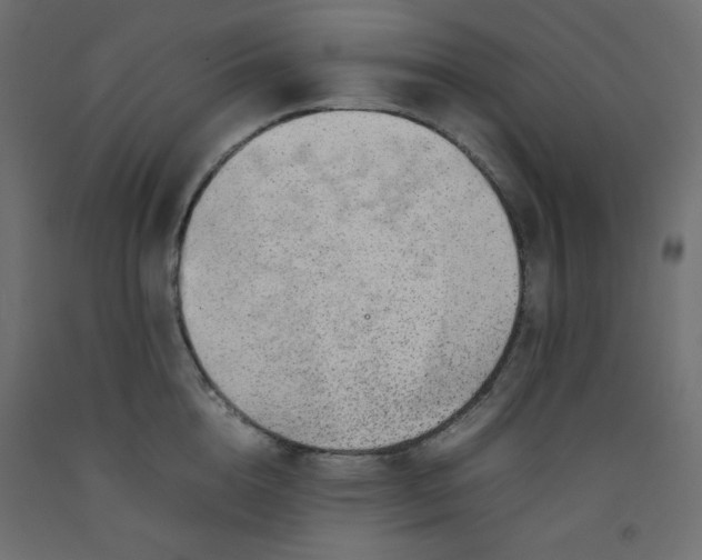 X0000092280856200710121402
