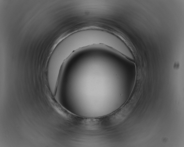 X0000092280858200710121402