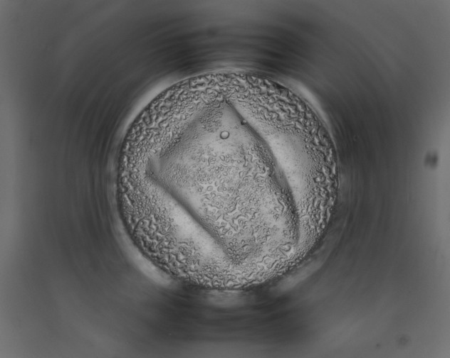 X0000092280859200710121402