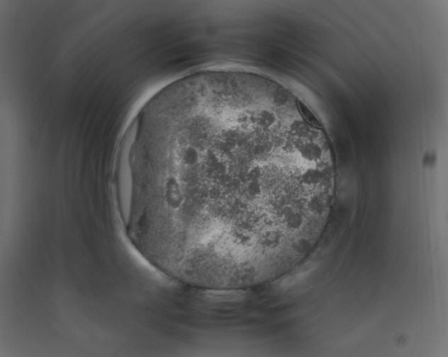 X0000092280863200710121402