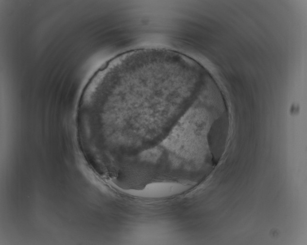 X0000092280864200710121402